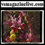 vsmagazinelive.com