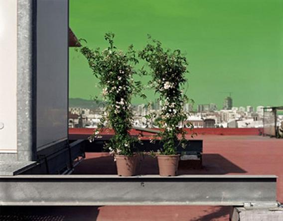 HANNAH COLLINS
Jasmine
2005 
Digital print on canvas
95 x 134 ½ inches