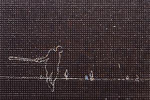 James Meyer: <i>SHADOW</i>