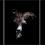 ANGELO FILOMENO
As The Lilies Among Thorns, So We Fall Like Love
2006
Fujiprint on paper
46 x 36 inches each, framed