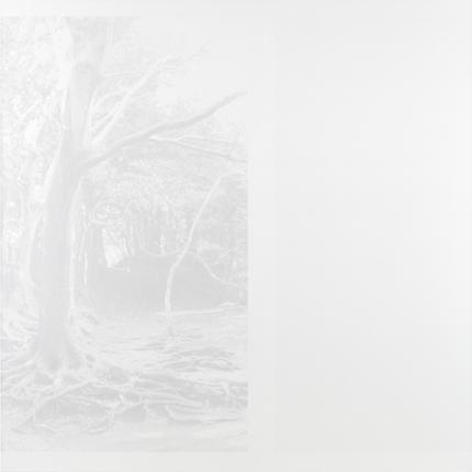 <i>Bastine</i>, 2010
Acrylic on canvas
72 x 72 inches (182.9 x 182.9 cm)