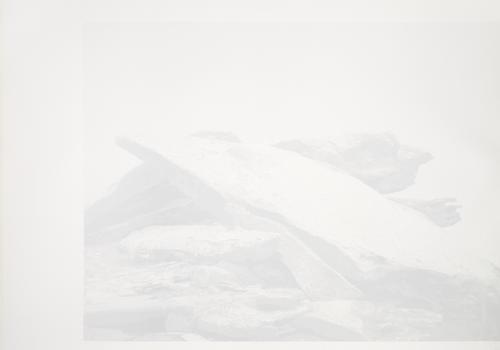 <i>Ovital</i>, 2010
Acrylic and watercolor on paper
28.5 x 40.75 inches (72.4 x 103.5 cm)