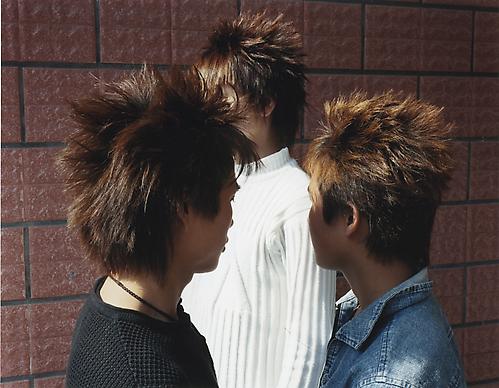 <i>Glamorous Hair (The New Antiquity)</i>, 2009
C-print
26 x 33 inches (66 x 83.8 cm)