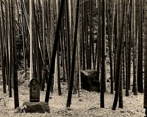 Japan, 2005