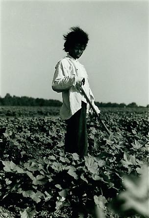 Tallahatchie County, MS, 1964