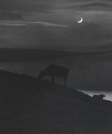 Yorkshire, 1944