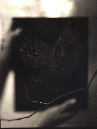 Two Spider Webs, 2000