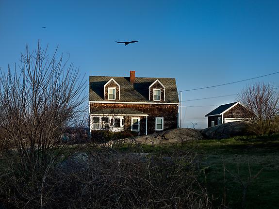 Houses of Squam Light