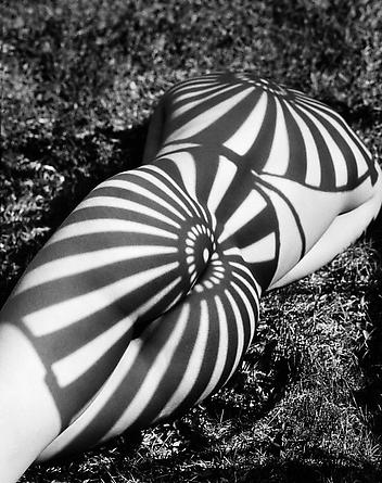 Neith with Shadows (Back), Poundridge, 1985