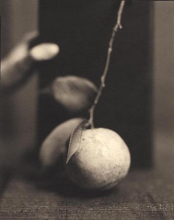 Orange, 1999