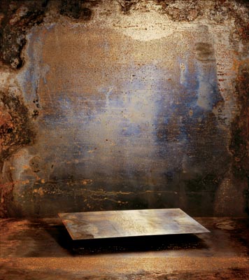 EVEIL VIII, 2007