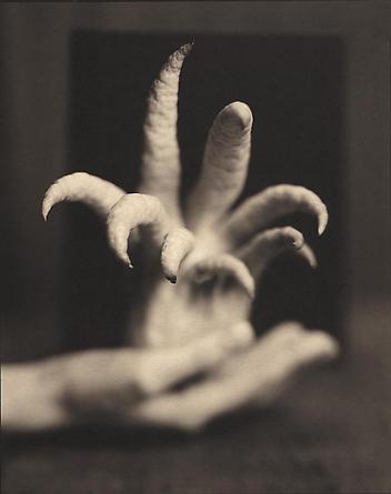 Buddha's Hand, 1999