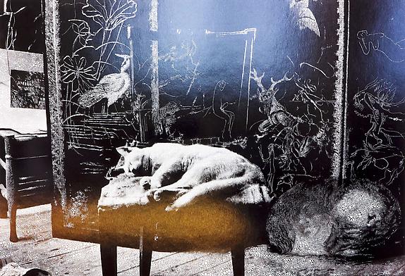 Cat and sleeping puppy in the atelier, 2011
Unique hand-painted chromogenic print with mixed media, 26 5/8 x 39 1/8 inches (67.6 x 99.4 cm)