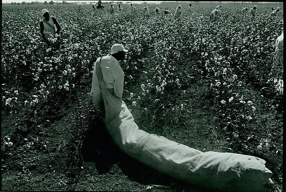Convict with a Bag of Cotton, Texas, 1968