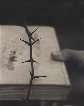 Locust, 1999