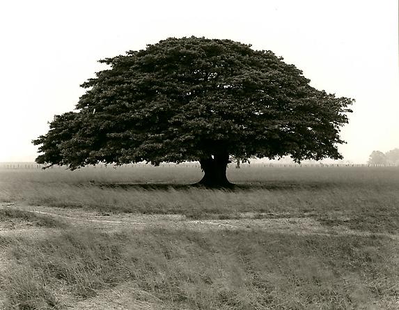 Costa Rica, 1987
