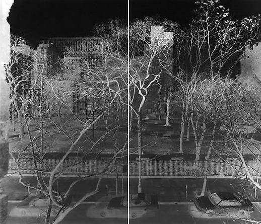 Vera Lutter
Gramercy Park, I: Spring 1995
