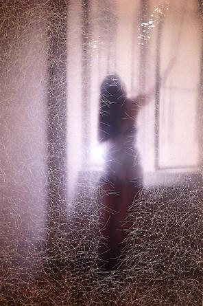 Figure by Window, 2009