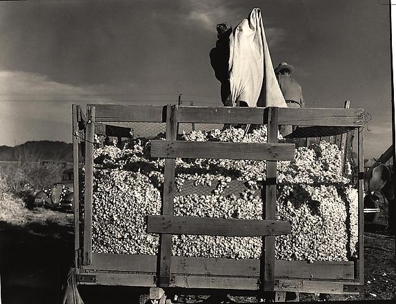 Around Cotton Wagon