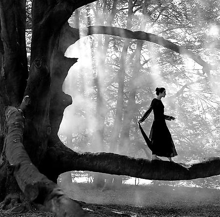 Woman balancing on tree limb, Snedens Landing, New York, 1999