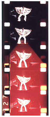 Jonas Mekas
Elvis Presley at Madison Square Garden, June 1972