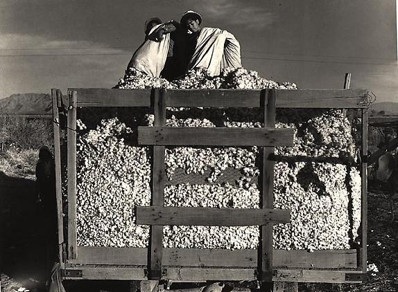 Emptying Cotton Bags