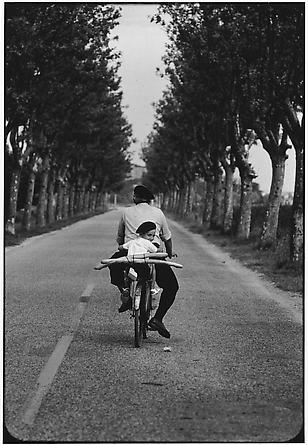 Provence, France, 1955