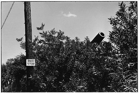 Fort Dix, New Jersey, 1951