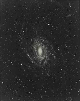 Galaxy in Pavo, NGC 6744
