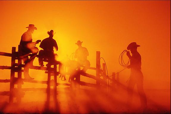 Cowboy #231, 2001