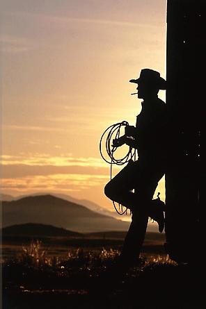 Cowboy #272, 1999