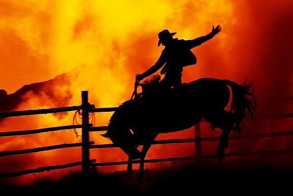 Cowboy #380, 2004