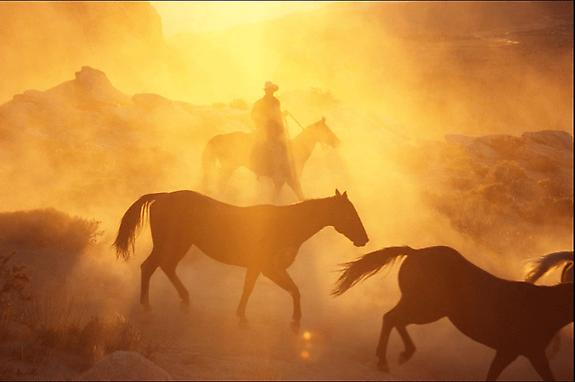 Cowboy #258, 2001