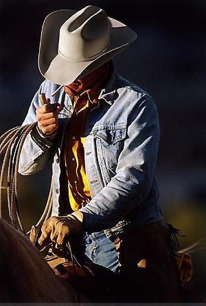 Cowboy #53, 2002