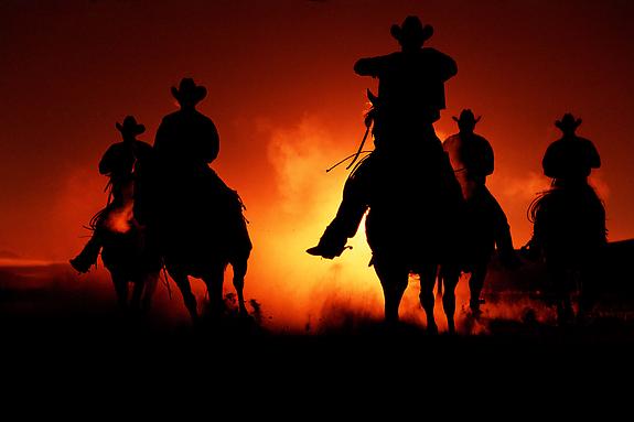 Cowboy #206, 2001