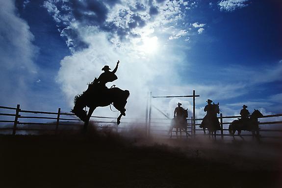 Cowboy #208, 2000