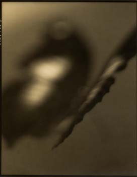 Insect #10, 2000