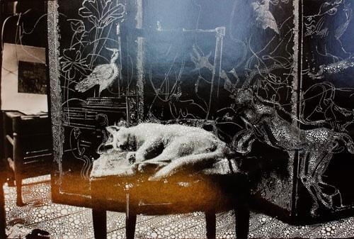 Sebastiaan Bremer
Little Cat in the Studio, 2011
