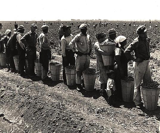 Near Westley, California, 1938