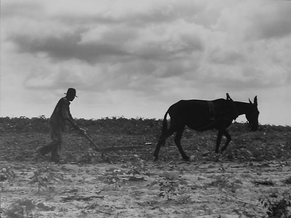 One Man, One Mule, Greene County, Georgia, 1937