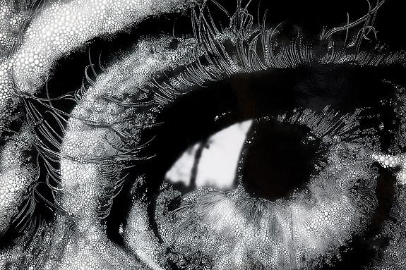 Eye #08 (detail), 2012
Unique hand-painted gelatin silver enlargement print with mixed media, 43 7/8 x 40 1/16 inches.