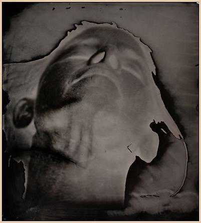 Untitled (Self-Portrait), 2006-12