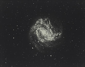 Spiral Galaxy in Hydra, Messier 83 (wide field)