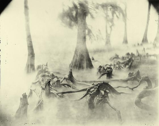 Untitled, 1998
Deep South #30: Boney Swamp