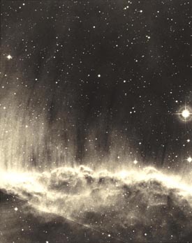 The Horsehead Molecular Cloud