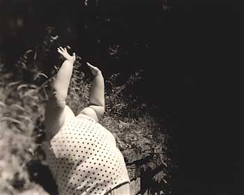 Treadwell, NY, 2000