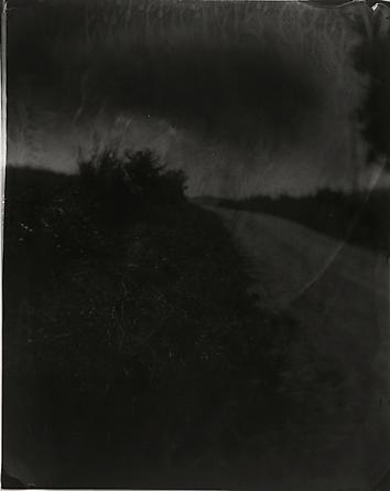 Untitled, 2001 [Wilderness #19]