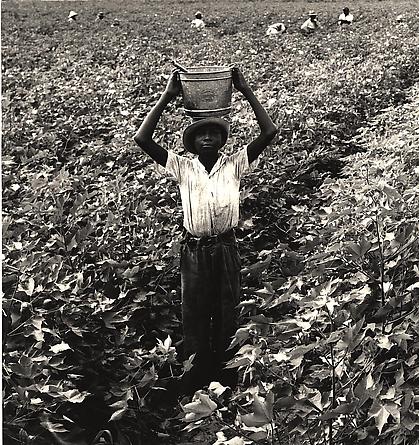 Water Boy, Mississippi Delta, 1938
