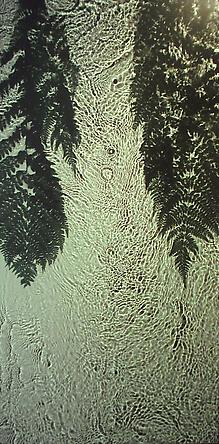 Susan Derges
The River Taw (Fern), 16 August 1998