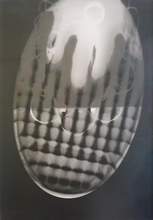 Rayograph, 1924